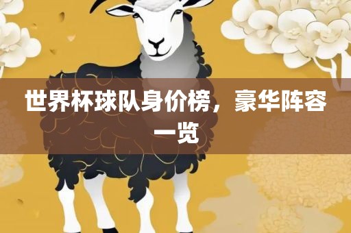 世界杯球队身价榜，豪华阵容一览