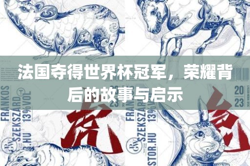 法国夺得世界杯冠军，荣耀背后的故事与启示