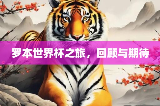 罗本世界杯之旅，回顾与期待