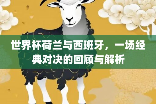 世界杯荷兰与西班牙，一场经典对决的回顾与解析