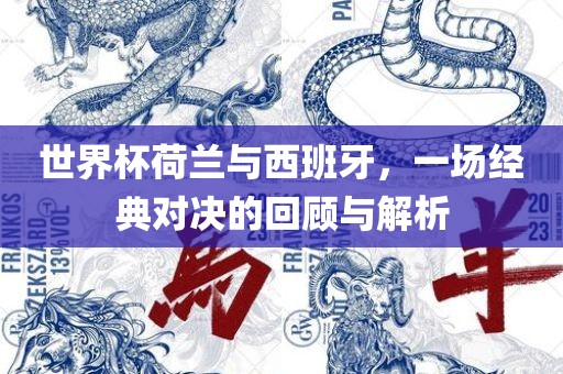 世界杯荷兰与西班牙，一场经典对决的回顾与解析