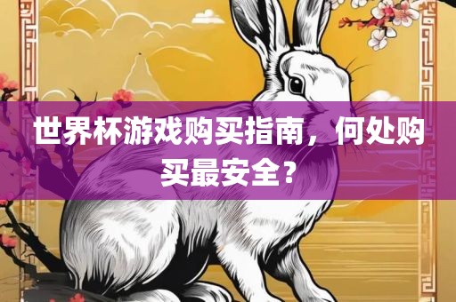 世界杯游戏购买指南，何处购买最安全？