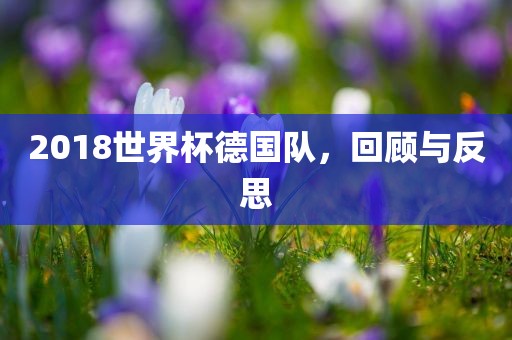 2018世界杯德国队，回顾与反思