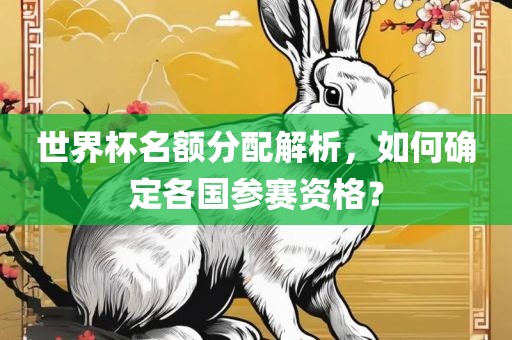 世界杯名额分配解析，如何确定各国参赛资格？