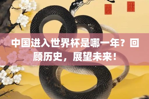 中国进入世界杯是哪一年？回顾历史，展望未来！