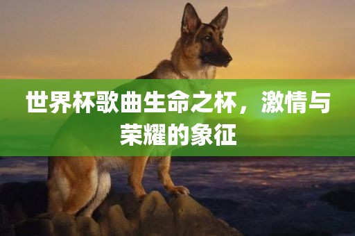 世界杯歌曲生命之杯，激情与荣耀的象征