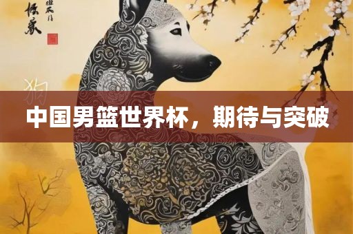 中国男篮世界杯，期待与突破