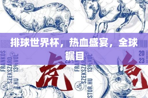 排球世界杯，热血盛宴，全球瞩目