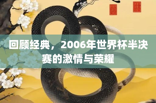 回顾经典，2006年世界杯半决赛的激情与荣耀