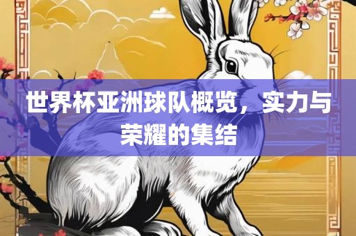 世界杯亚洲球队概览，实力与荣耀的集结