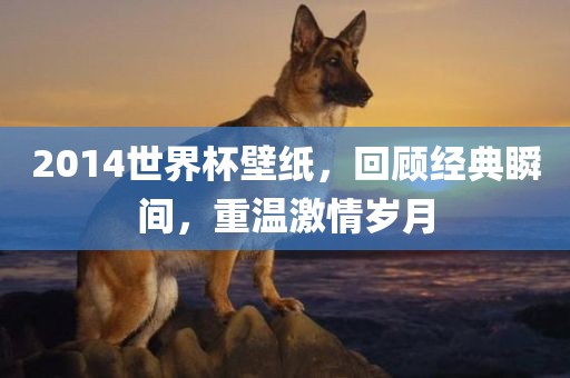2014世界杯壁纸，回顾经典瞬间，重温激情岁月
