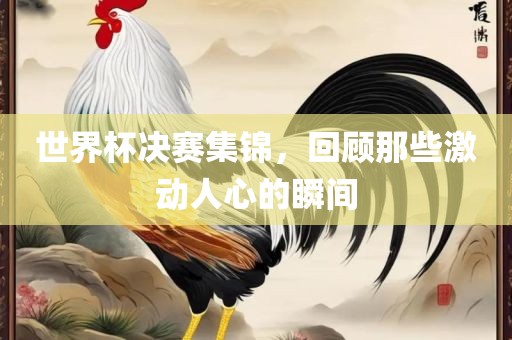 世界杯决赛集锦，回顾那些激动人心的瞬间