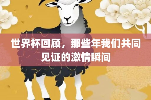 世界杯回顾，那些年我们共同见证的激情瞬间
