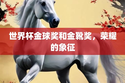 世界杯金球奖和金靴奖，荣耀的象征