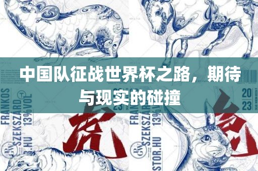 中国队征战世界杯之路，期待与现实的碰撞