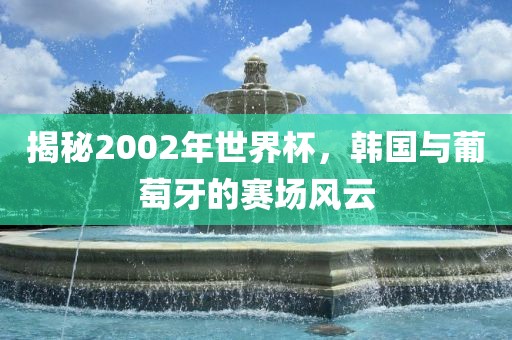 揭秘2002年世界杯，韩国与葡萄牙的赛场风云