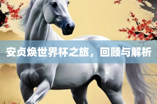 安贞焕世界杯之旅，回顾与解析