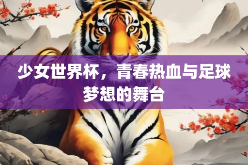 少女世界杯，青春热血与足球梦想的舞台