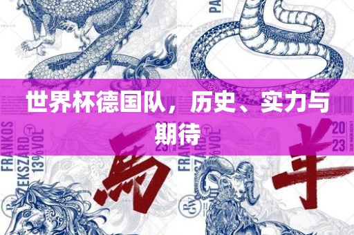 世界杯德国队，历史、实力与期待