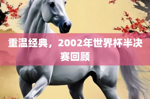 重温经典，2002年世界杯半决赛回顾