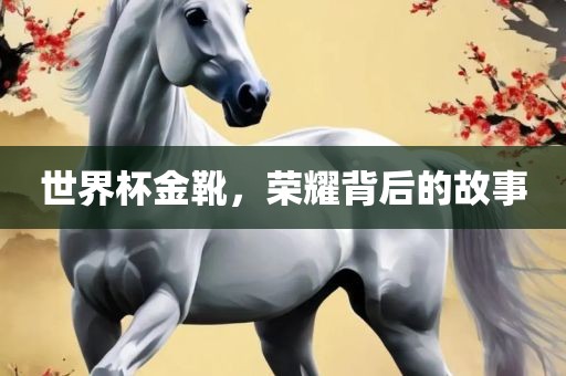 世界杯金靴，荣耀背后的故事