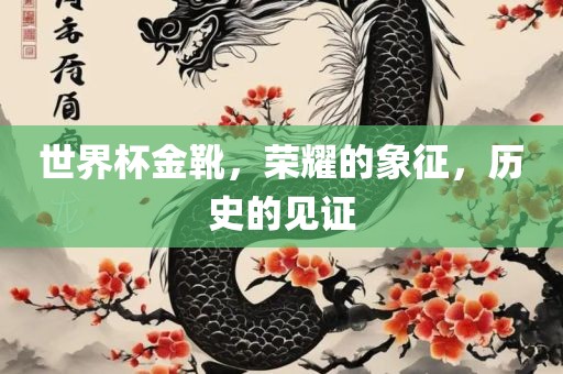 世界杯金靴，荣耀的象征，历史的见证