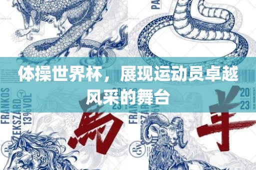 体操世界杯，展现运动员卓越风采的舞台