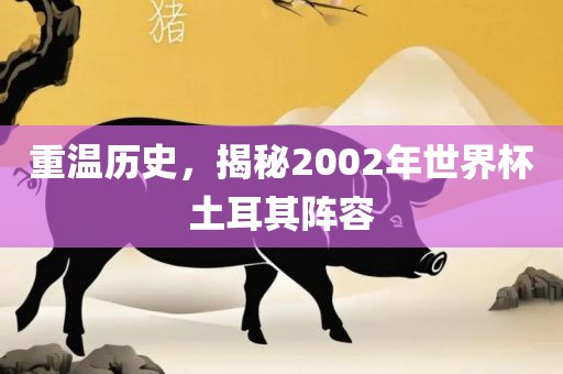 重温历史，揭秘2002年世界杯土耳其阵容