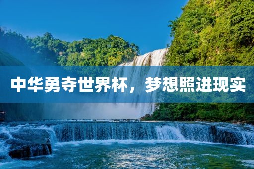 中华勇夺世界杯，梦想照进现实