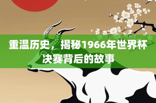重温历史，揭秘1966年世界杯决赛背后的故事