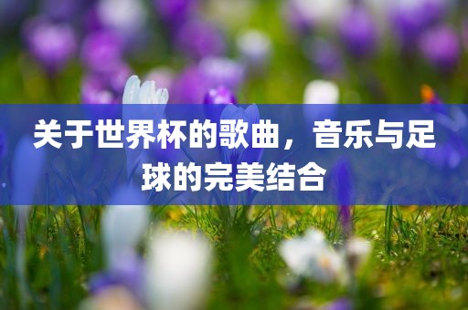 关于世界杯的歌曲，音乐与足球的完美结合