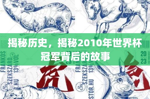 揭秘历史，揭秘2010年世界杯冠军背后的故事