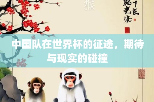 中国队在世界杯的征途，期待与现实的碰撞