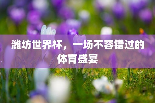 潍坊世界杯，一场不容错过的体育盛宴