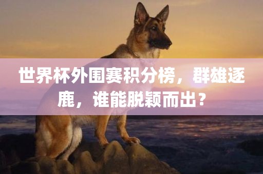 世界杯外围赛积分榜，群雄逐鹿，谁能脱颖而出？