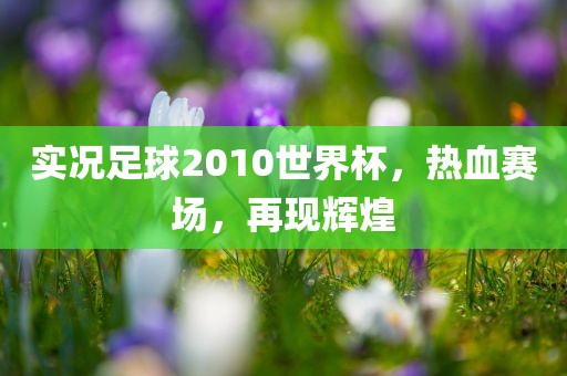 实况足球2010世界杯，热血赛场，再现辉煌