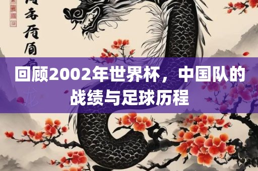回顾2002年世界杯，中国队的战绩与足球历程