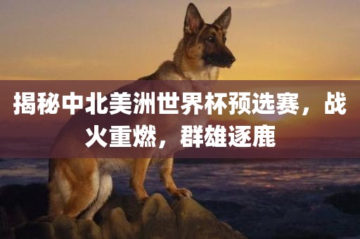 揭秘中北美洲世界杯预选赛，战火重燃，群雄逐鹿