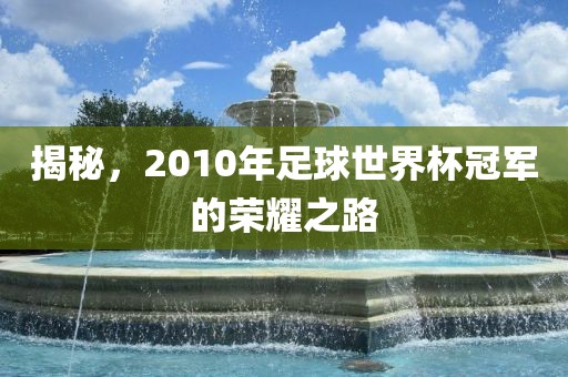 揭秘，2010年足球世界杯冠军的荣耀之路