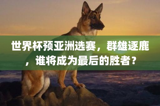 世界杯预亚洲选赛，群雄逐鹿，谁将成为最后的胜者？