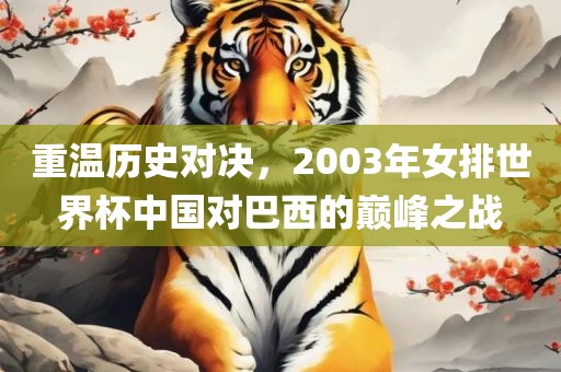 重温历史对决，2003年女排世界杯中国对巴西的巅峰之战