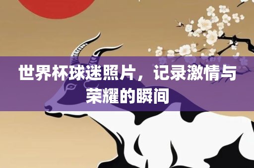 世界杯球迷照片，记录激情与荣耀的瞬间