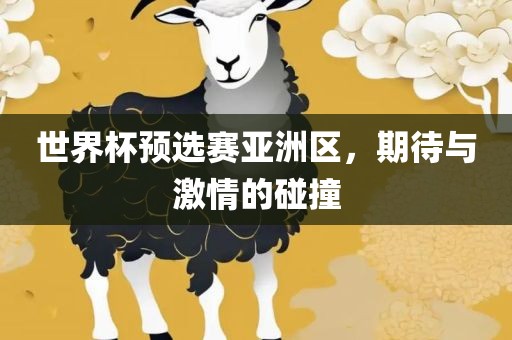 世界杯预选赛亚洲区，期待与激情的碰撞