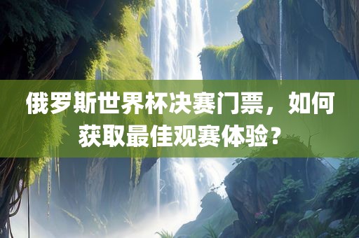 俄罗斯世界杯决赛门票，如何获取最佳观赛体验？