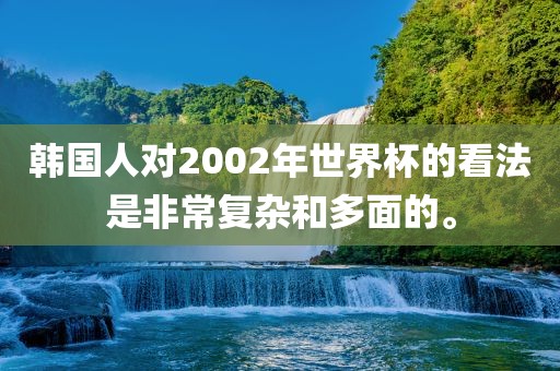 韩国人对2002年世界杯的看法是非常复杂和多面的。