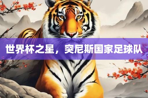 世界杯之星，突尼斯国家足球队