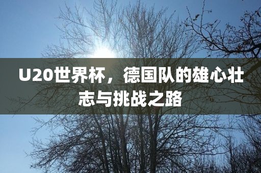 U20世界杯，德国队的雄心壮志与挑战之路