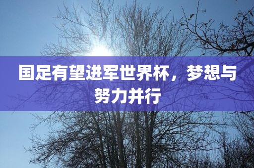 国足有望进军世界杯，梦想与努力并行