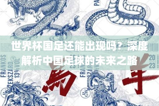 世界杯国足还能出现吗？深度解析中国足球的未来之路