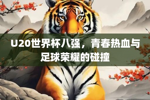U20世界杯八强，青春热血与足球荣耀的碰撞